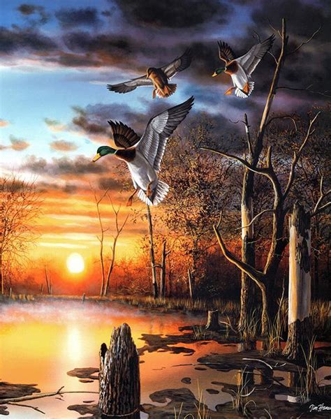 Flying Duck Painting At Explore Collection Of