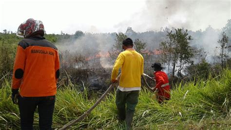 Antisipasi Kebakaran Hutan Dan Lahan 2 100 Personel Manggala Agni