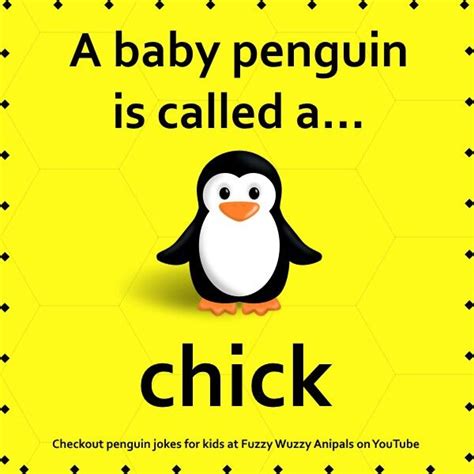 Enjoy this abc animal babies book for preschool at circle time, naptime, or anytime! 51 best Animal Facts for Kids images on Pinterest | Animal ...