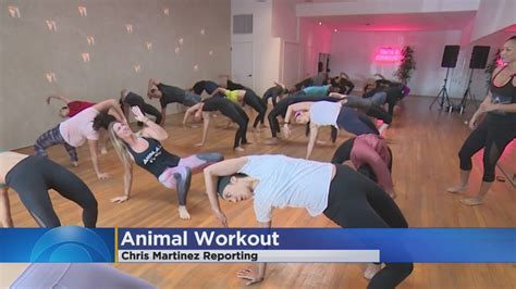 ‘animal Flow The Newest Fitness Trend Youtube