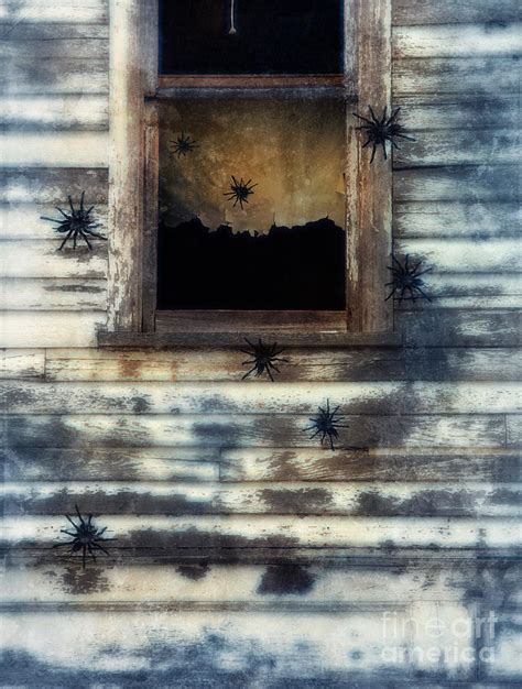 Tarantula Spiders Crawling On An Old House Photograph By Jill Battaglia