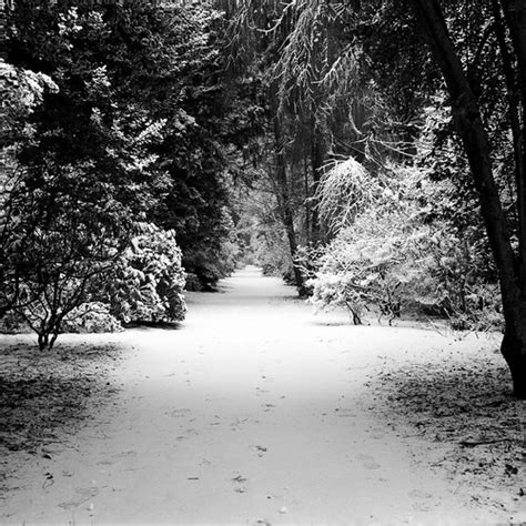 Snow Path Agfa Isolette2 I Tmax100 I F11 05second Fobo Co Flickr