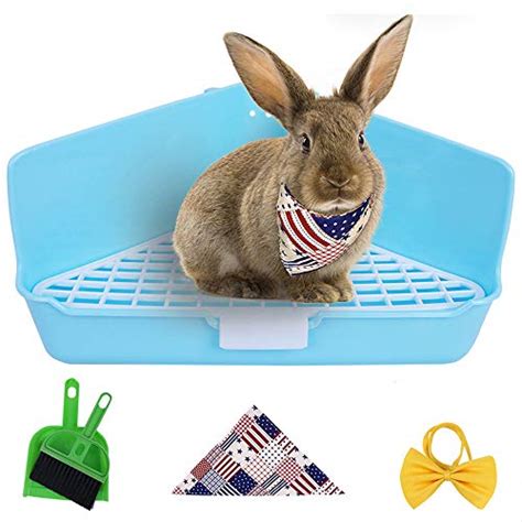 Best Rabbit Litter Box Guide For 2022 Animal Corner