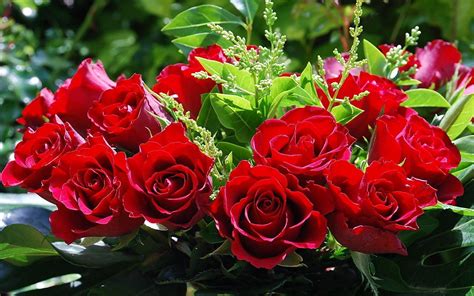 Картинки цветы розы красивые » Прикольные картинки: скачать бесплатно ...