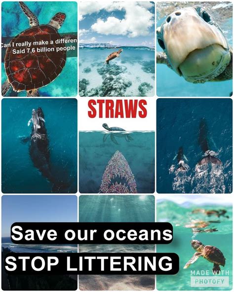 Save Our Oceans Save Our Oceans Ocean Poster