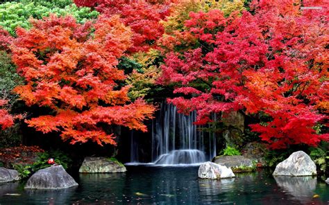 Colorful Trees In The Autumn Wallpaper Waterfall Desktop Wallpaper