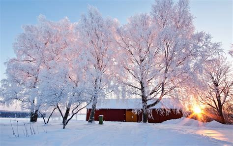 배경 화면 아름 다운 겨울 풍경 눈 나무 집 햇빛 1920x1200 Hd 그림 이미지