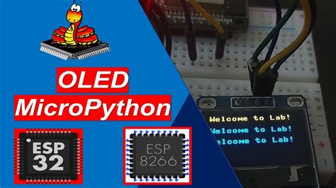 SSD1306 OLED Display With ESP32 And ESP8266 Using MicroPython