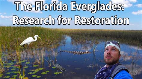 The Florida Everglades Research For Restoration Documentary Youtube