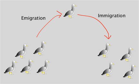 Immigration And Emigration Tutorial Sophia Learning