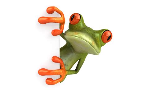 Animated Frog Wallpaper 55 Images