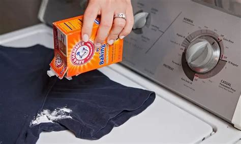 5 Effective Ways To Remove Mold From Clothes