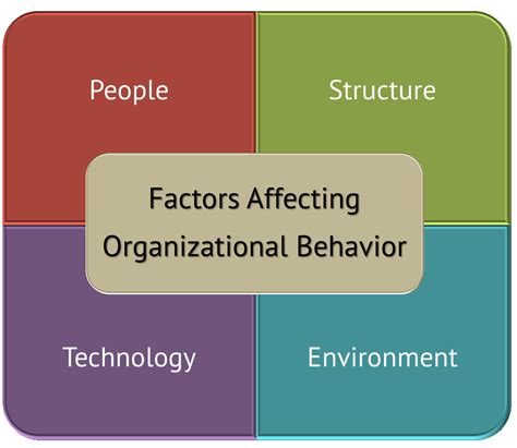 4 Key Forces Affecting Organizational Behavior Explained