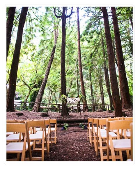 Romance Romance Romance Enchanted Forest Wedding Ceremony Forest
