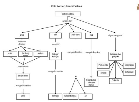 Gambar Peta Konsep Bioteknologi