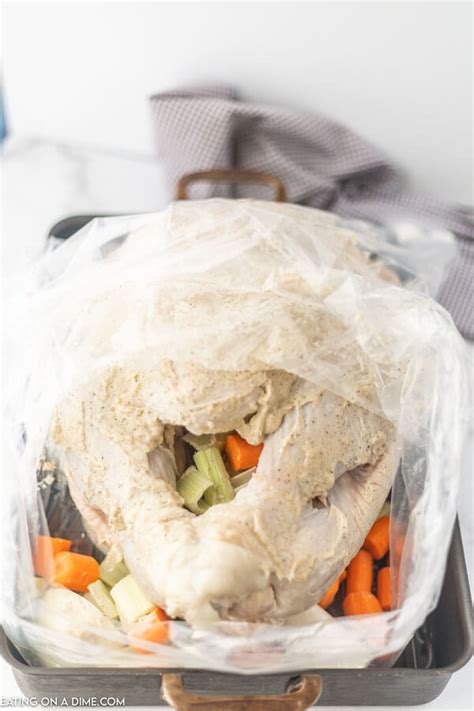 How Long Cook Turkey In A Bag Dekookguide