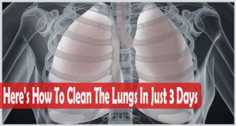 Sep 01, 2015 · how i cleaned up my lungs in just 3 days. Comment nettoyer vos poumons facilement en 3 jours seulement