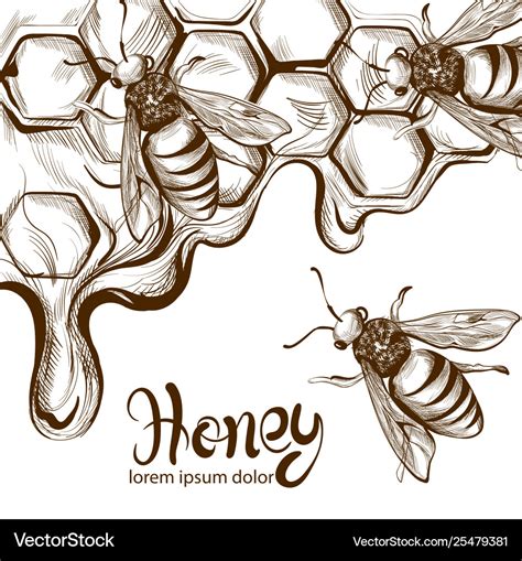 Honey Bees Combs Line Art Retro Vintage Royalty Free Vector