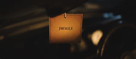 Jungles New Album For Ever Is Solid Gold Routenote Blog
