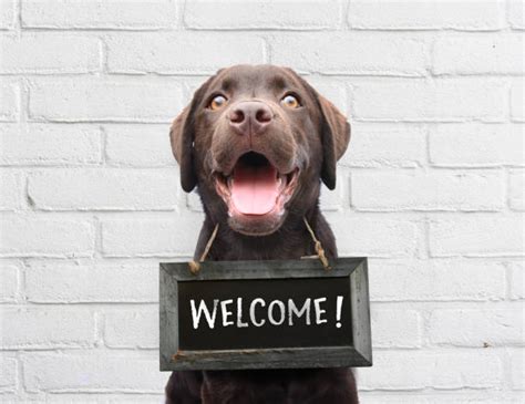 Welcome Sign Stock Photos Pictures And Royalty Free Images Istock