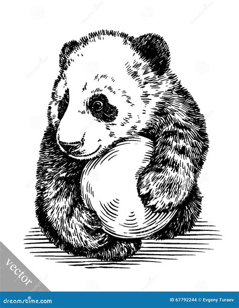 Engrave Ink Draw Panda Illustration Stock Vector Illustration Of