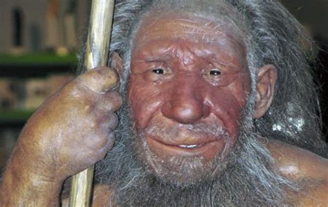 Human Neanderthal Hybrids Discovered Ancient Origins