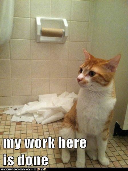 Its A Dirty Job Lolcats Lol Cat Memes Funny Cats Funny Cat