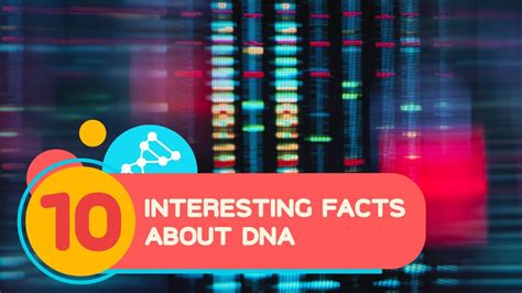 10 Interesting Facts About Dna Youtube
