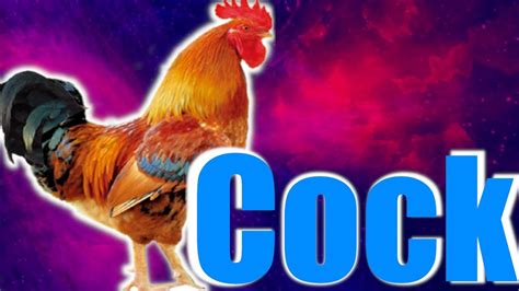Cock Youtube