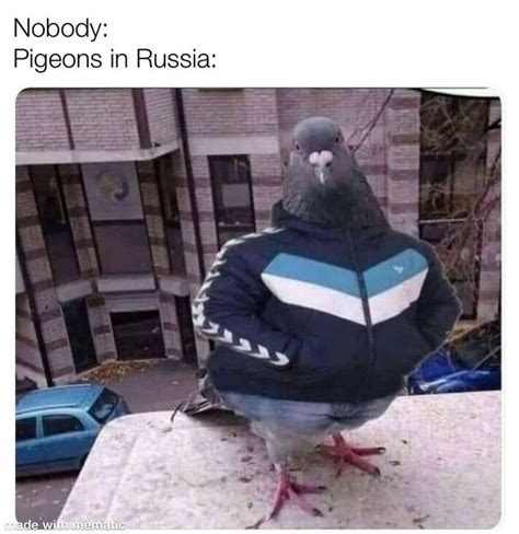 The Best Russia Memes Memedroid