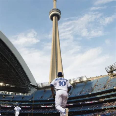 17 Blue Jays Little League To The Rogers Centre The True Canadian