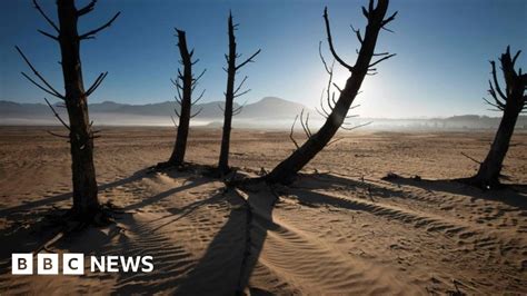 Cape Town Drought Declared A National Disaster Bbc News