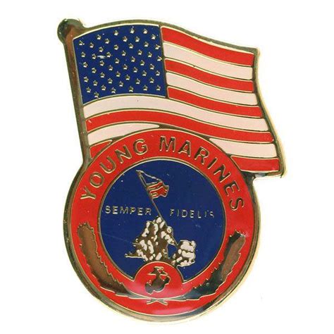 Young Marines Lapel Pin Young Marines Logo With Us Flag Vanguard