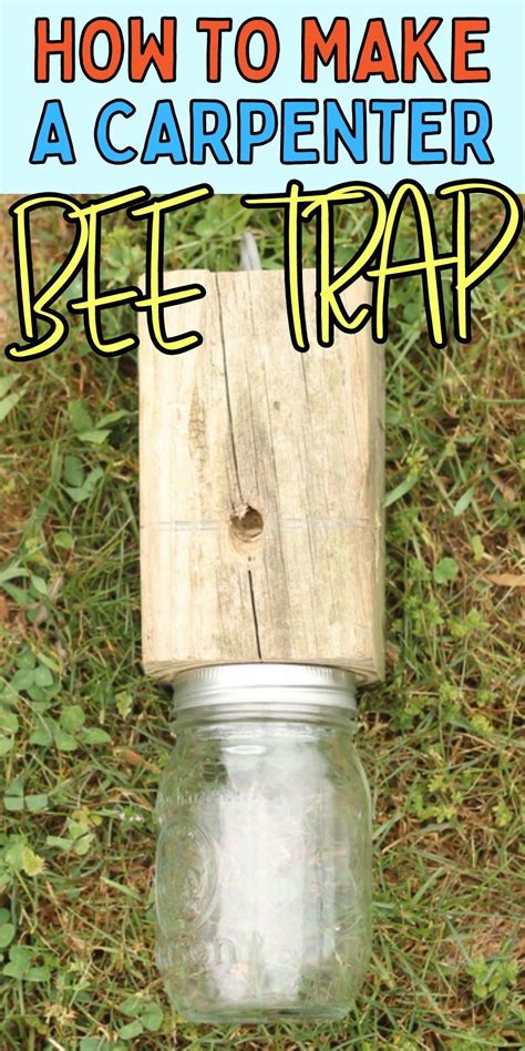 Learn How To Make Your Own Carpenter Bee Trap In 2022 Bee Traps