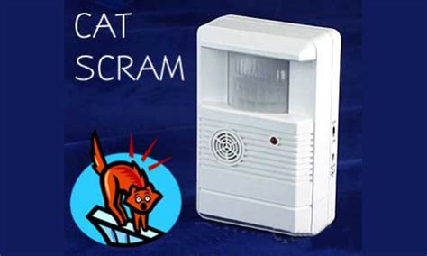 Deter cats by removing food sources. Catscram Electronic Cat Repellent | Best Cat Repellent Guide
