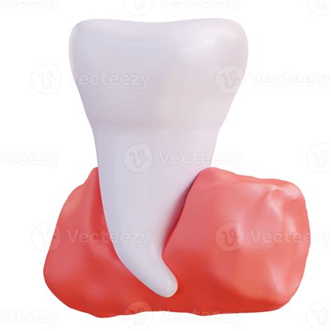 3d Illustration Of Teeth And Gums 21017730 Png