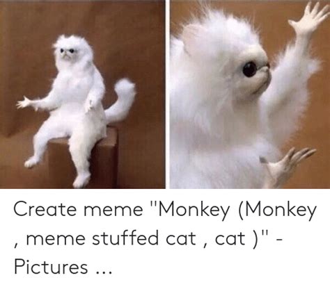 Create Meme Monkey Monkey Meme Stuffed Cat Cat Pictures Meme On Meme