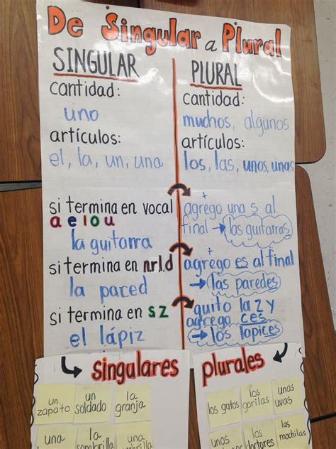Sustantivos Plurales Y Singulares Bilingual Plural And Singular Nouns