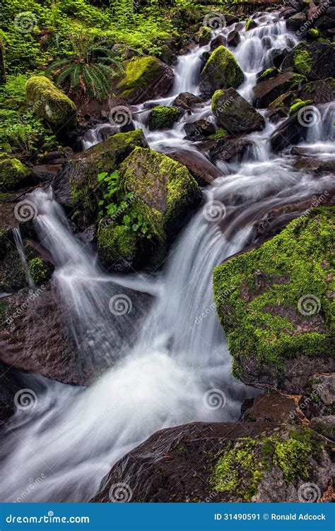 Mountain Stream And Waterfall Stock Image Image Of Natural Waterfall