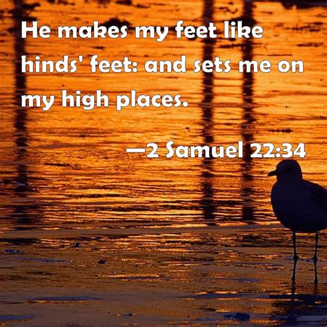 2 Samuel 2234 He Makes My Feet Like Hinds Feet And Sets Me On My