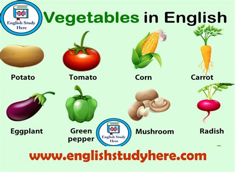 Check spelling or type a new query. Pictures And Names Of Vegetables - Aumondeduvin.com