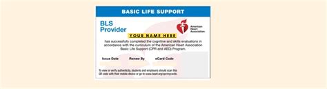 American Heart Association Bls Renewal Course Basic Life Support Program