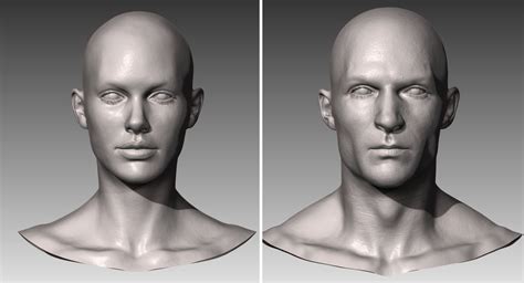 Realistic White Male And Female Head Bundle 3d Model Female Head