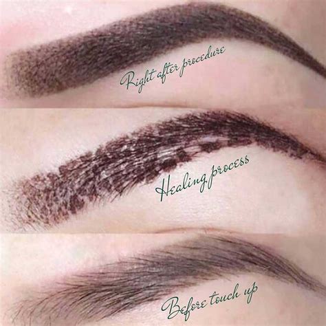 Powder Brows Healing Process Full Day By Day Overview Pmuhub