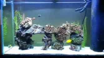 100 Gallon Saltwater Aquarium Fish Tank YouTube