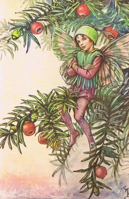 Yew Fairy Mary Cicely Barker Cicely Mary Barker Garden Illustration