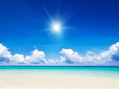 Free Download Summer Sunny Day 1600 X 900 Hdtv Wallpaper 1600x900 For