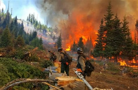 Videos By Crews Highlights Of The 2017 Wildfire Season