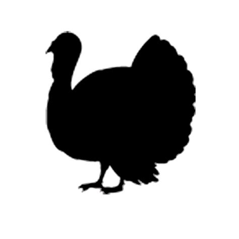 Turkey Silhouette Clip Art At Getdrawings Free Download