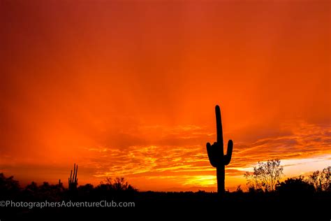 Tonights Sunset In Mesa Az Arizona Sunset Saguaro This Was Such A Awesome Sunset